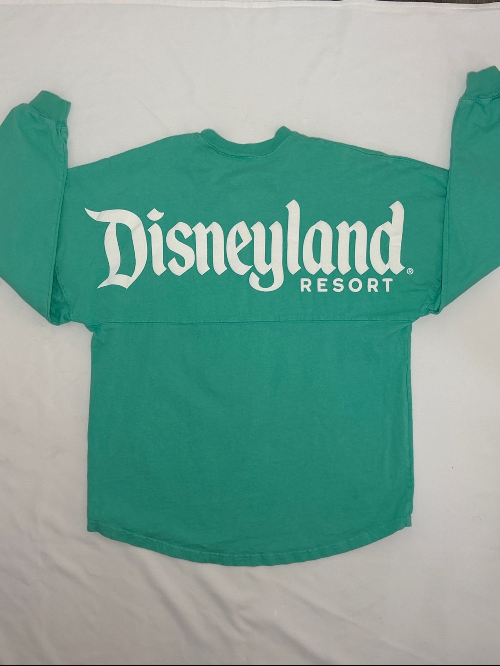 Disney Disneyland Resort Long Sleeve Sweatshirt - Teal & White